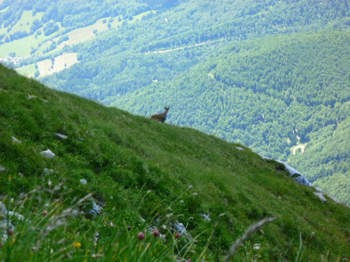 La Moraine Διαμέρισμα Villard-de-Lans Εξωτερικό φωτογραφία